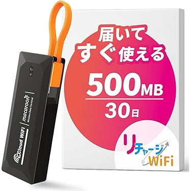 モバイルWiFi 100GB初回 USB/タイプC top_365_100gb.jpg